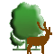 Bhuvan-2D