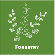 Forestry.png